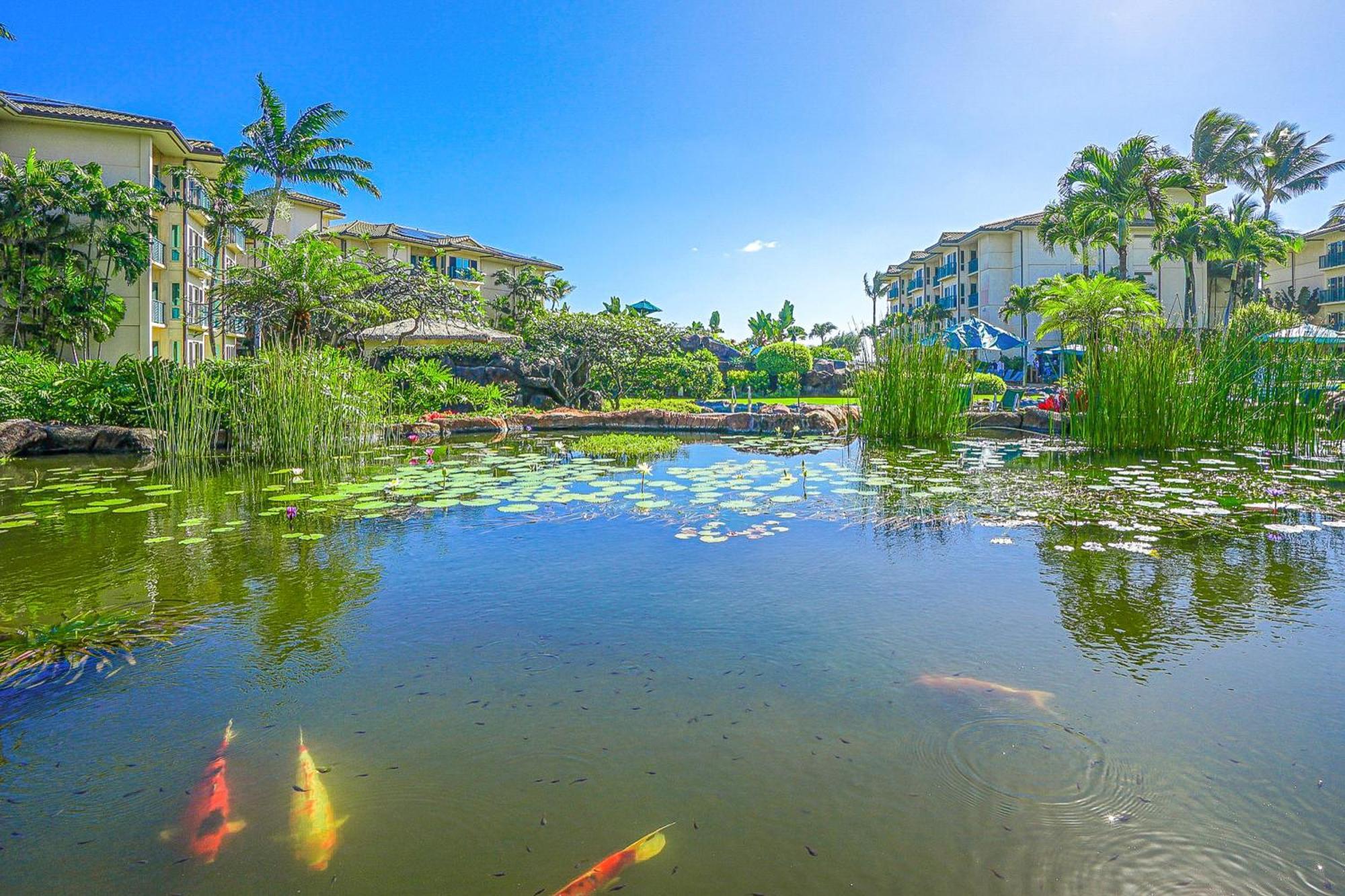 Waipouli Beach Resort H105 Капаа Экстерьер фото